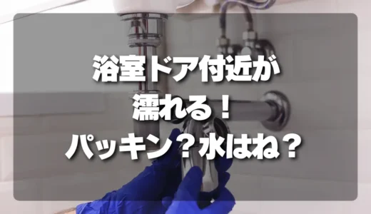 【原因究明】浴室ドア付近の床が濡れる！パッキン劣化？水はね？見分け方と対策を徹底解説